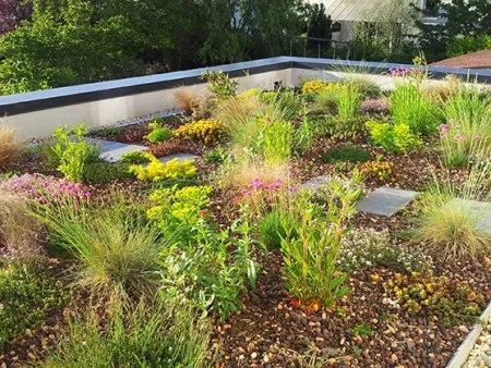 Entretien des toitures-terrasses et végétalisées