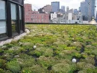 Vignette de l'article : La toiture-terrasse végétalisée
